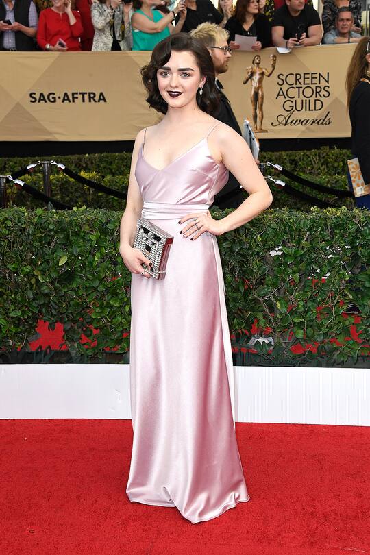 SAG Awards 2017 Red Carpet Looks