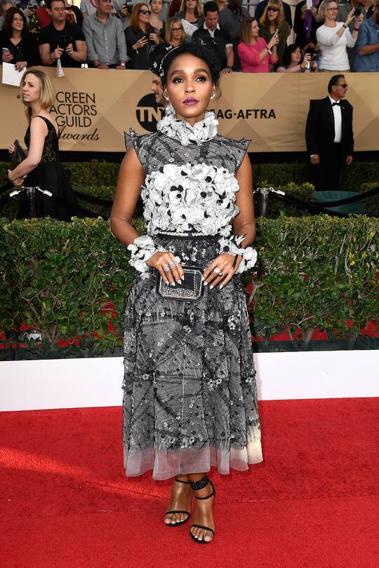 SAG Awards 2017 Red Carpet Looks