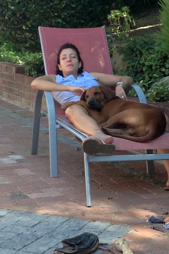 Südafrika-Blog Silvester