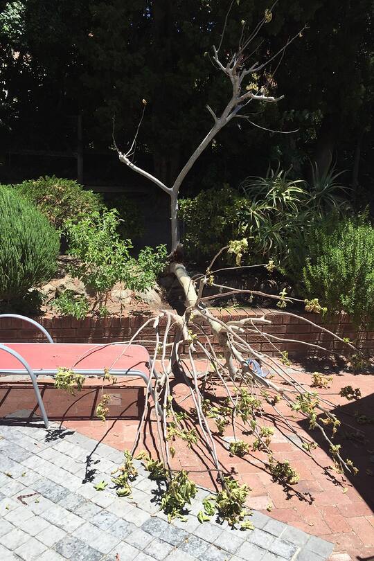 Auswanderer-Blog Südafrika