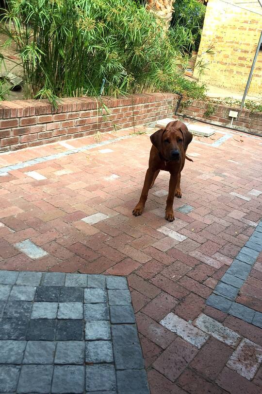 Blog Auswandern Südafrika Leben Alltag