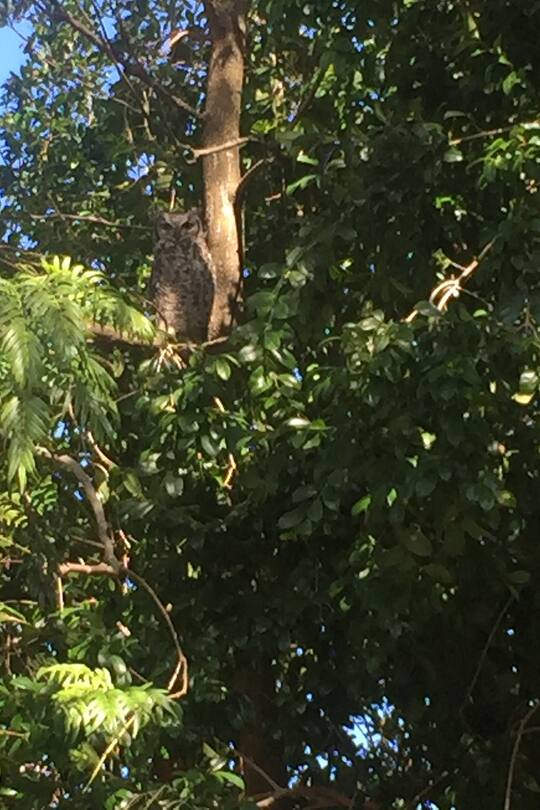 Auswandern Südafrika Blog Sacha von der Crone Fotos