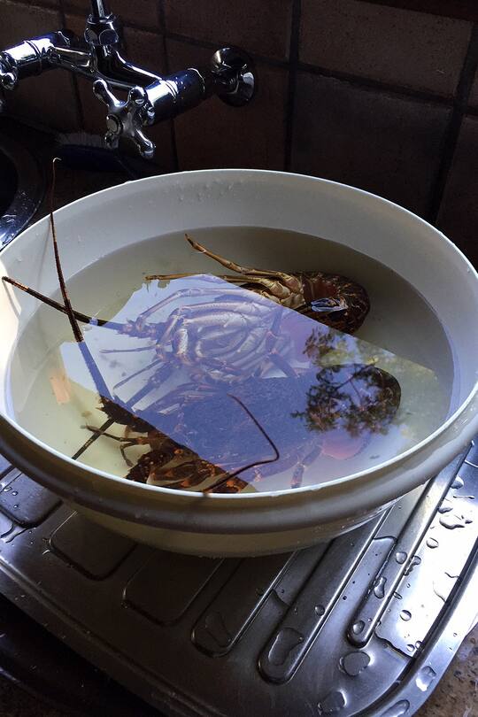 Auswandern Südafrika Klima Wetter reisen Blog Sacha von der Crone Africa-Lodge