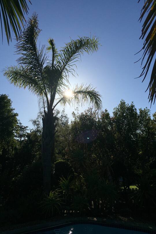 Blog Sacha von der Crohe Südafrika Lodge