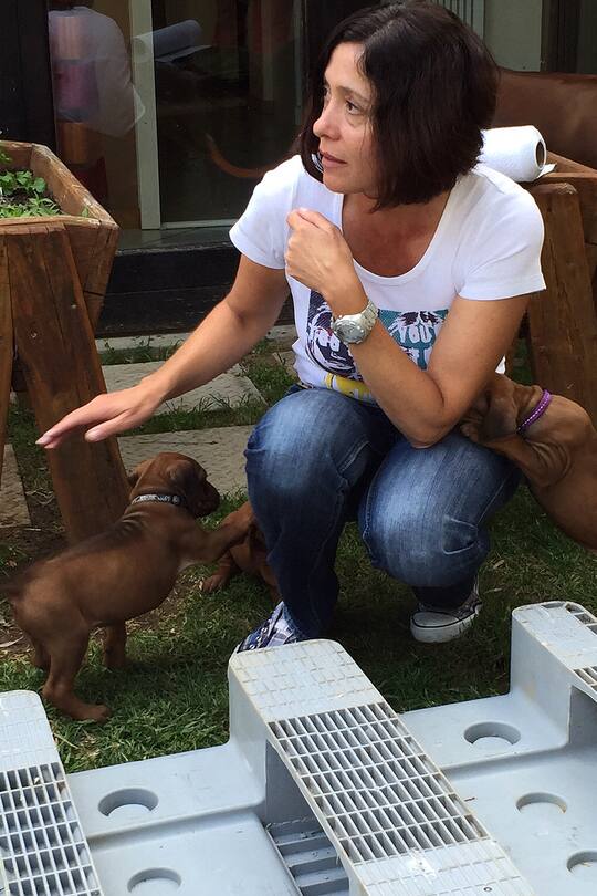 Auswandern Schweiz Südafrika Sacha von der Crone Blog