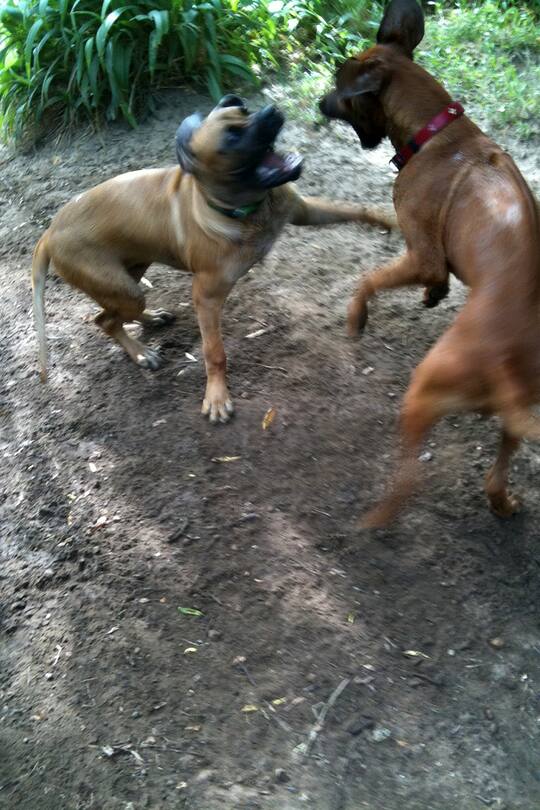 Auswandern Schweiz: Neues Leben in Südafrika Blog