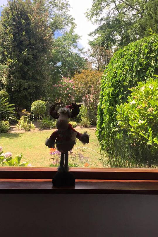 Blog Südafrika Auswandern Sacha von der Crone Schweizer Club Alltag Leben