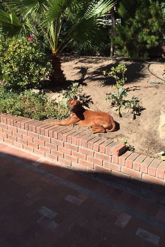 Auswanderer Südafrika Sacha von der Crone Schweiz