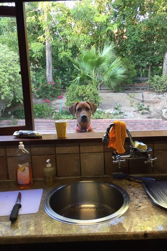 Sacha von der Crone Auswanderer Südafrika Lodge Federer