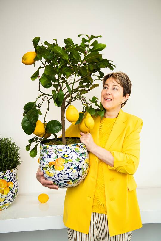 Bernadette Lisibach liebt helle Farben: Das Zitronenbäumchen bringt jetzt schon Frühlingsfrische in die «Neue Blumenau».