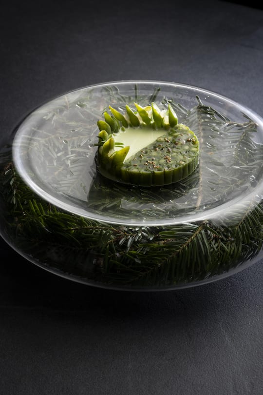 <p>Zu den knackigen grünen Bohnen serviert Jérémy Desbraux eine Mousseline mit Tannenschösslingen und feiner Säure.</p>