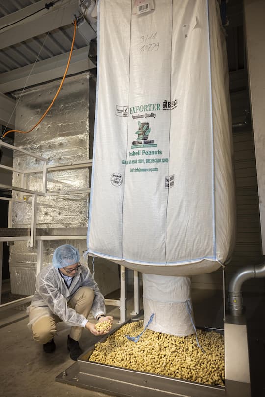 Ab in den Ofen! Rohe Nüsse aus Ägypten werden aus Big Packs für den Röstprozess bereitgestellt.