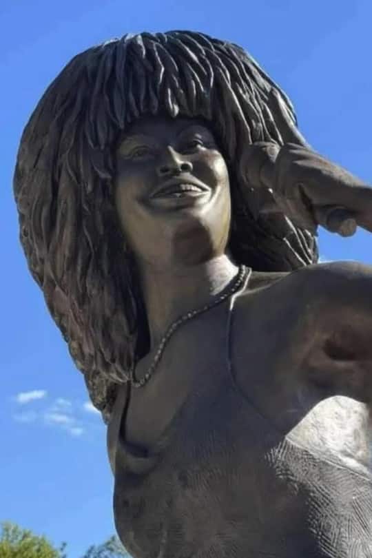 <p>So sah Tina Turner laut der neuen Statue aus.</p>