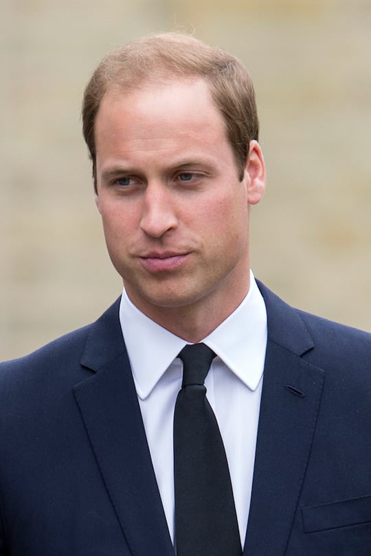 Wachhunde von Prinz William eingeschläfert