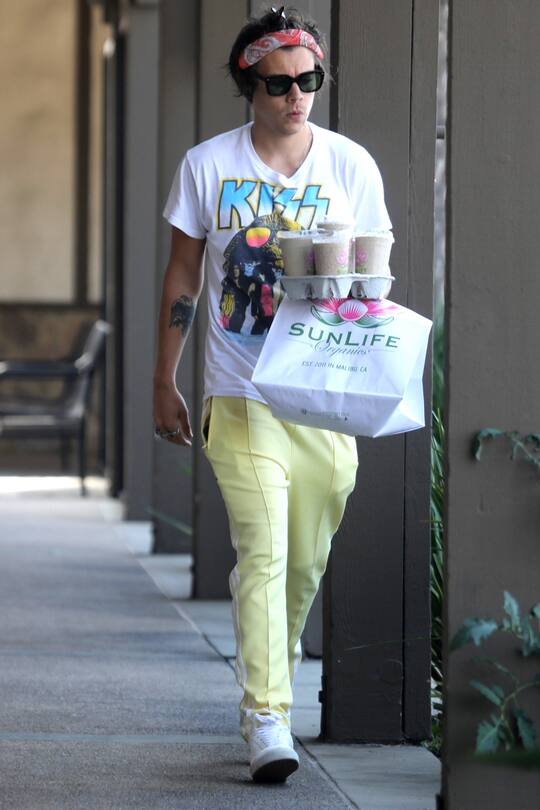 Harry Styles wird leider nicht der neue Prinz Eric