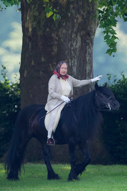 Königin Elizabeth II (GB), HM The Queen rides out on a hot Summers Morning at Windsor Castle on The Eve of Royal Ascot and the Day she should have been opening Parliament.19. Juni 2017, Ascot UK