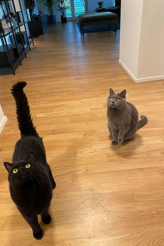 Sagen sie mal Naomi Lareine