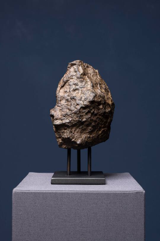 "Der rote Koloss" Marsmeteorit T-Rex Versteigerung