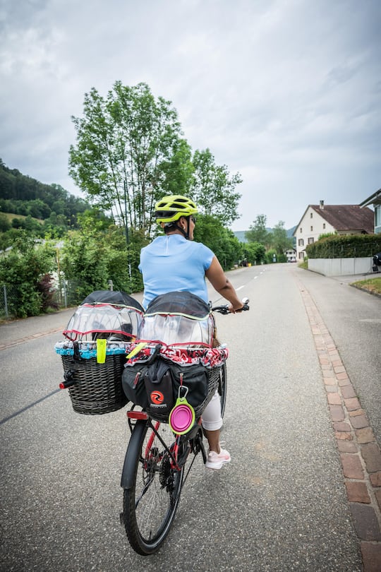 Sarah Jane, Allein zu Haus in Rothenfluh
