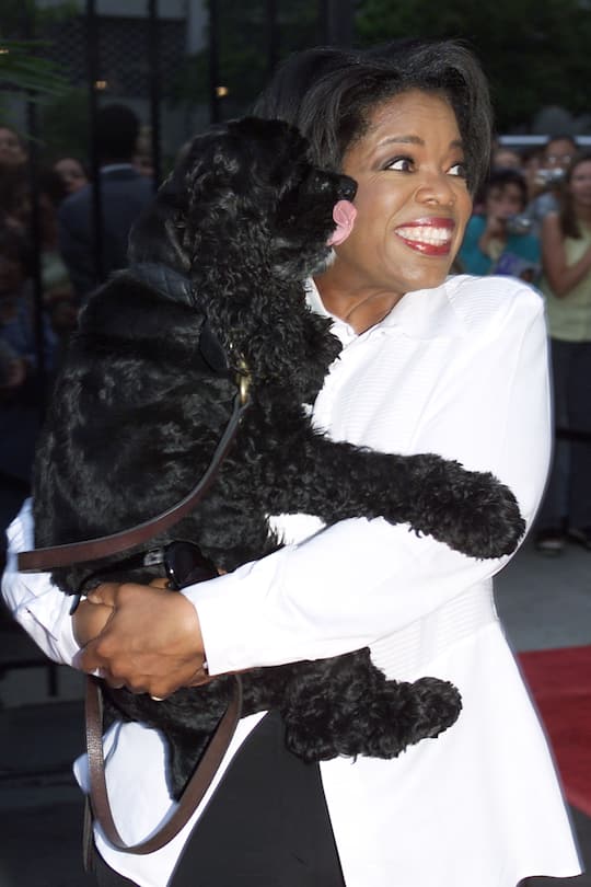 Oprah Winfrey arrives with Sophie at the Shrine Auditorium in Los Angeles, Ca. on 6/29/00 to speak about personal growth and empowerment. This is the last stop of the 'Personal Growth Summit', a four-market series, that included Detroit, Atlanta and Chicago.Photo: Kevin Winter/ImageDirect