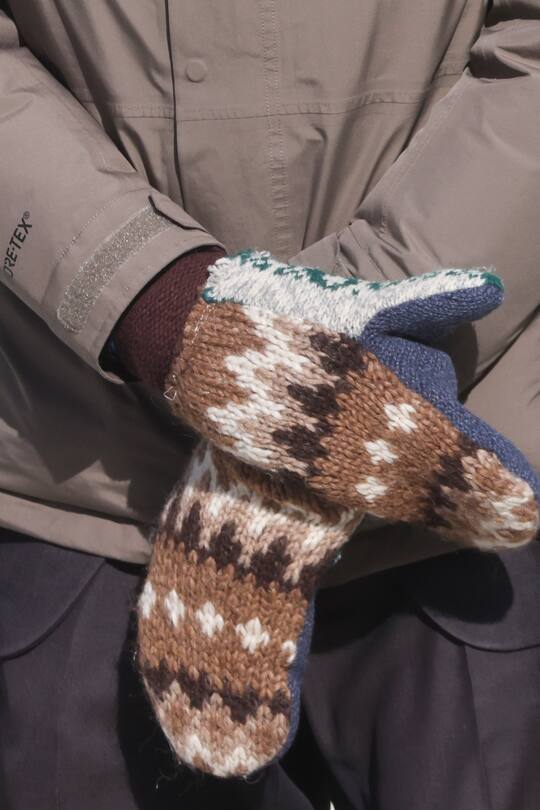 Bernie Sanders Handschuhe