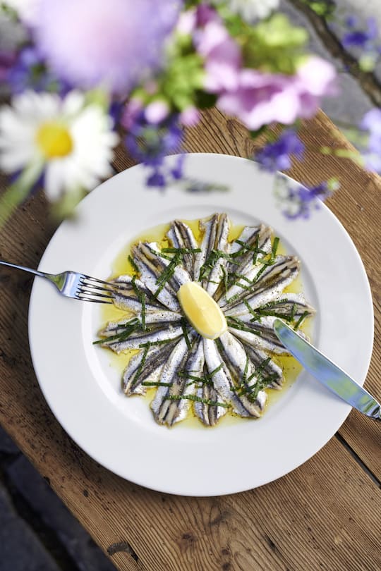 Frische marinierte Sardellen