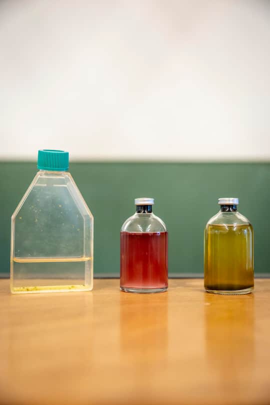 Zu Besuch beim mysteriösen Lago di Cadagno einem See mit speziellen Wasserschichten im Tessin. 04.09.24 ©David Birri Grün Reportage: Lago di Cadagno