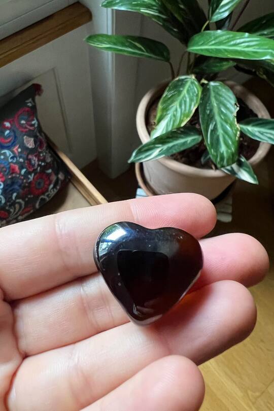 Sagen Sie mal mit Renato Kaiser