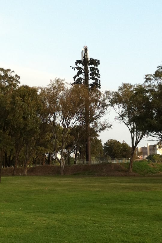 Blog Auswandern Südafrika Fotos Sacha von der Crone