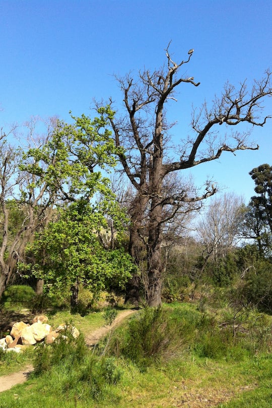 Sacha von der Crone Auswanderer Südafrika Lodge