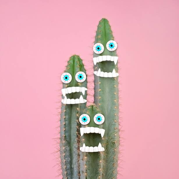 Blue cactus plant wearing costume of plastic vampire teeth and bloodshot eyeballs.