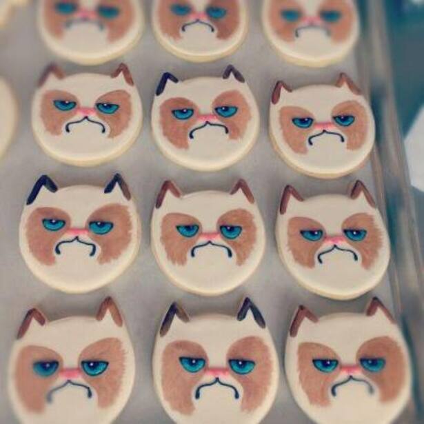 Grumpy Cat Fanartikel Cookies
