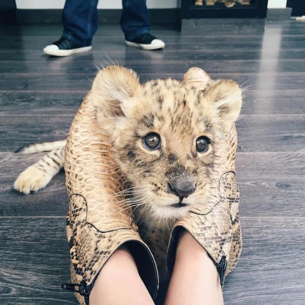 instaTrend Shoe-Selfie