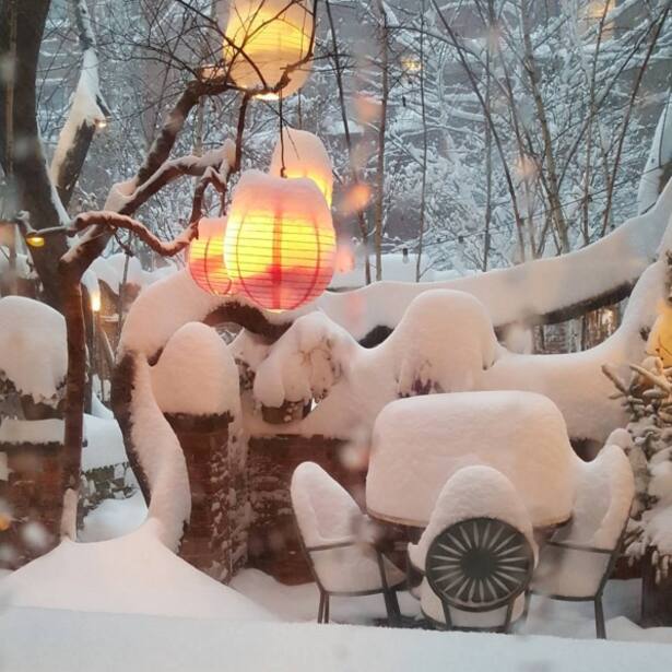 instatrend jonas blizzard