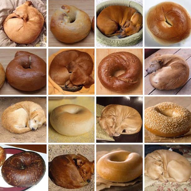 instatrend entweder oder