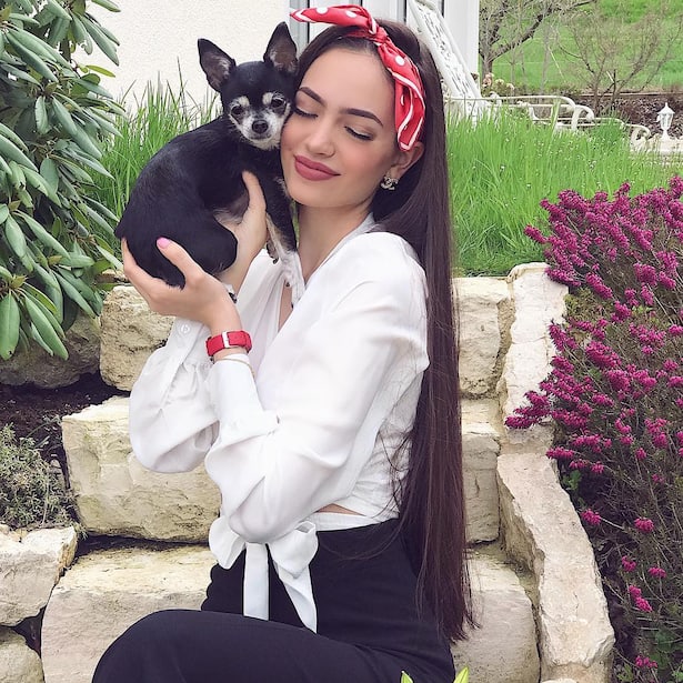 Welthundetag 2018 Stars und ihre Hunde