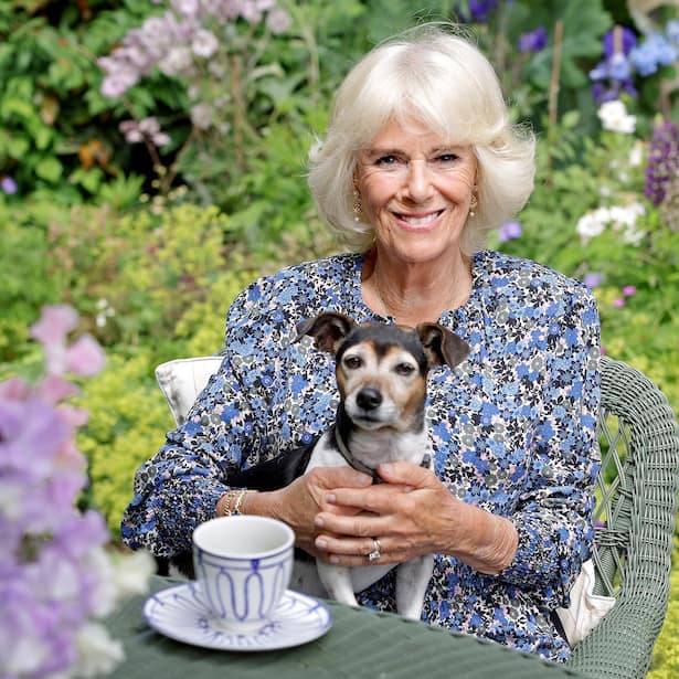 Queen Consort Camilla ist ganz vernarrt in ihre Hunde.