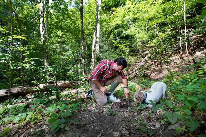 Salar Bahrampoor, Fernsehmoderator mit Freundin Barbara Ruijs, Ãrztin und Hündin Liesl, sind verlobt und feiern bald Hochzeit, 4. September 2021, Herrliberg ZH