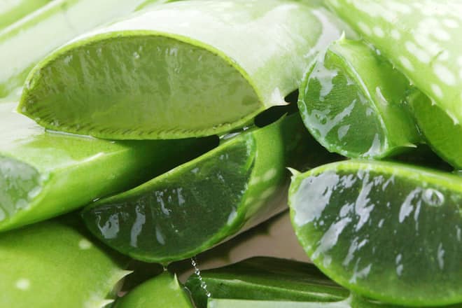 Aloe Vera als Beauty-Waffe