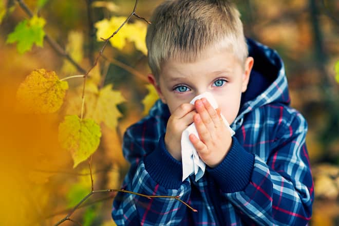 Little boy aged 3 cleaning his nose in autumn. The boy looks quite pale and sick.