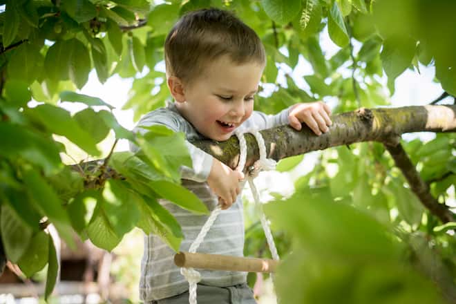 kind klettert auf baum