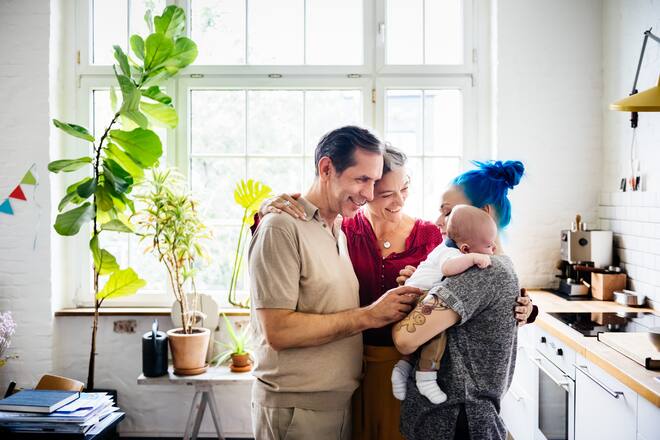 zimmerpflanzen für familien