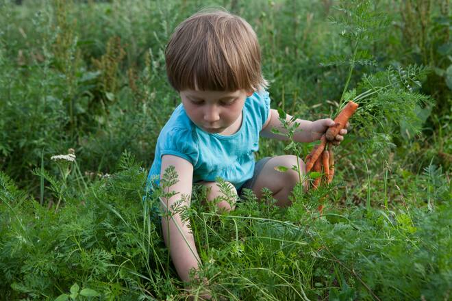 gesunder Znüni Kind Rüebli