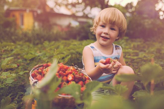 Retro-style photo of a happy little boy with strawberry