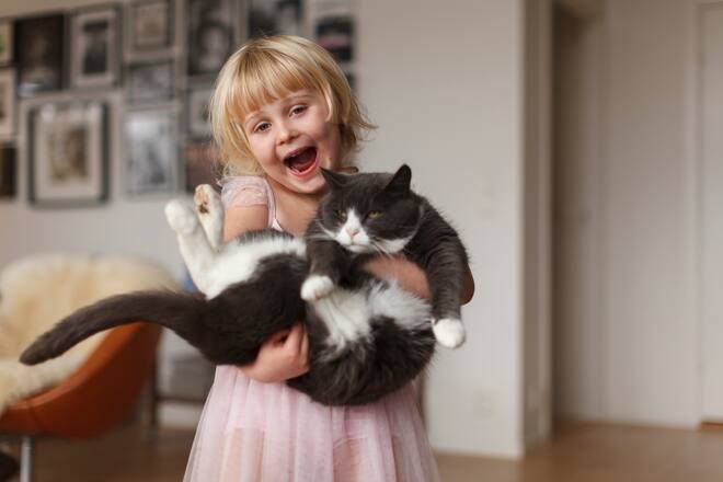 Mädchen Kater grumpy cat