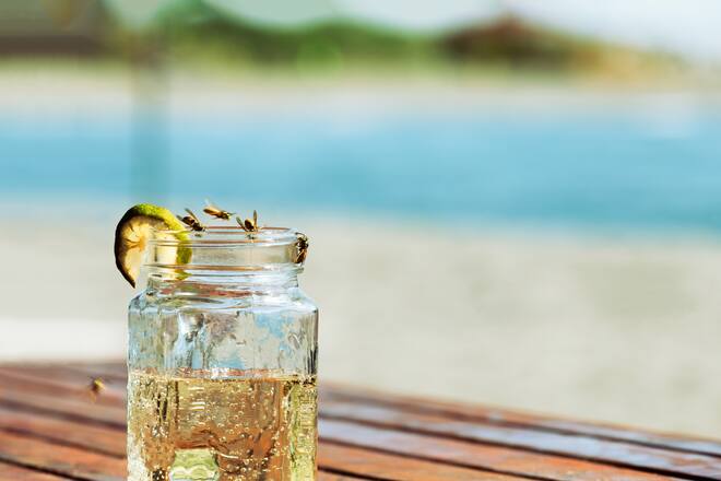 Close-up von einem Drink, der von Wespen belagert wird