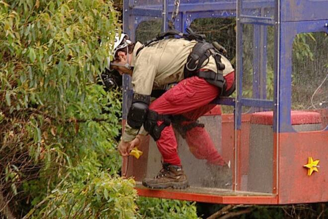 Ibes 2012 Dschungelcamp Tag 11