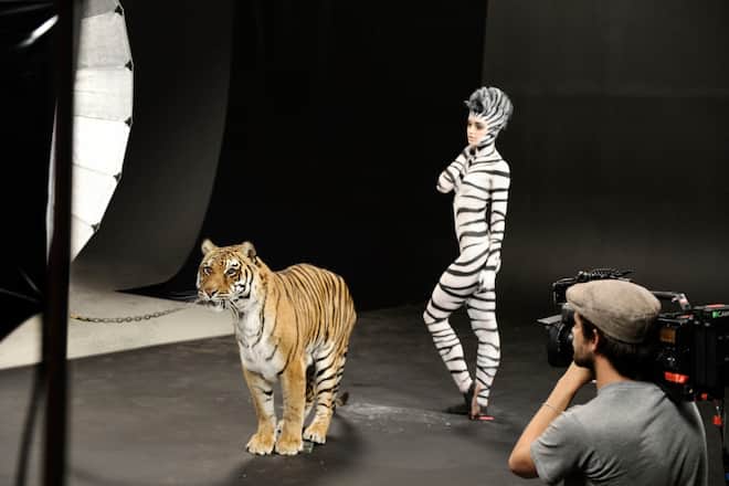 GNTM Vorschau 09-05-12 - loeschen am 17-05-12