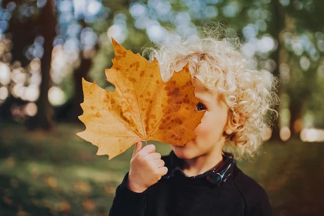 Cute young child with curly hair holding a massive leaf in front of his face, peeping around.
