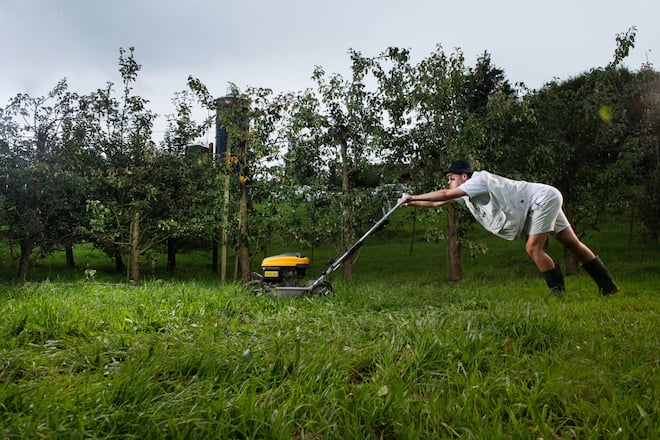 Adrian Vogt, Youtuber, Gewinner Swiss Comedy Award Online, 2020
